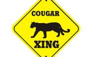 5 Things You Need To Know Before Dating A Married Cougar